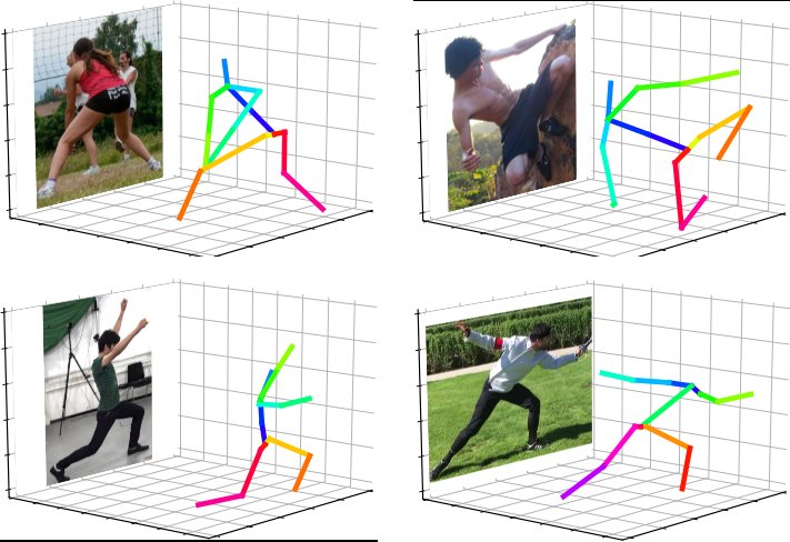 Inference Stage Optimization for Cross-scenario 3D Human Pose Estimation