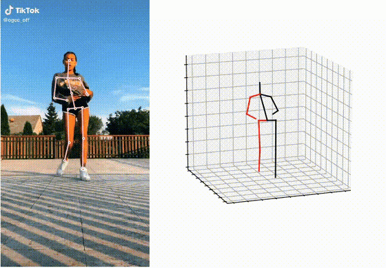 PoseAug: A Differentiable Pose Augmentation Framework for 3D Human Pose Estimation